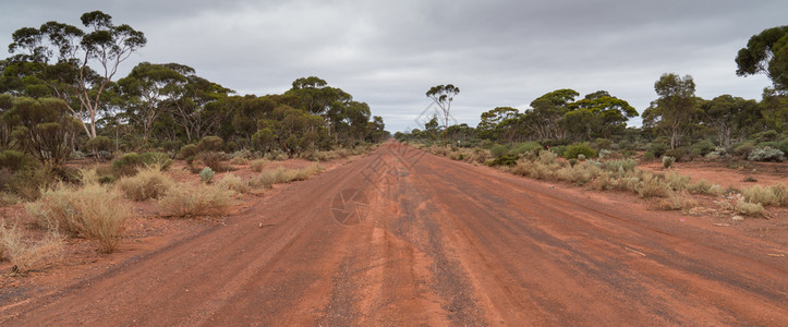 碎石蓝色的西澳大利亚内陆道路西澳大利亚内陆典型的未封闭道路农村图片