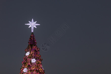 颜色红的在圣诞树顶峰夜里装饰着灯光的圣诞树上照亮了派对图片