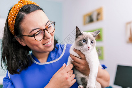 抱着猫咪的护士图片