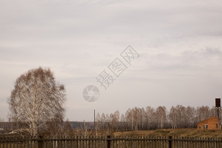 土地风景206年1月西伯利亚新附近农村景观场图片