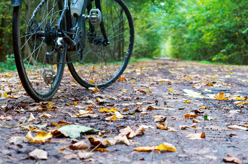 循环骑自行车的人踪迹秋天骑自行车在路上图片