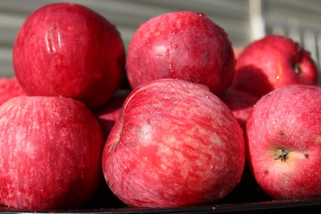 丰盛的美味和成熟红苹果丰美大成熟和红苹果健康素食主义者花园图片