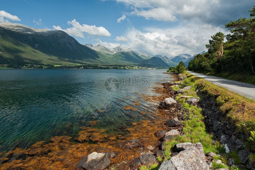 草绿色乡村的挪威Romsdalsfjorden在阳光明媚的天空下观看挪威Romsdalsfjorden图片