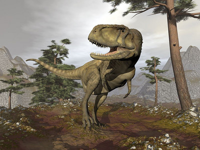 阿甘树艾比龙恐在山中行走松树之间云端的一天3D变成艾比龙恐3D古艺术景观白垩纪设计图片