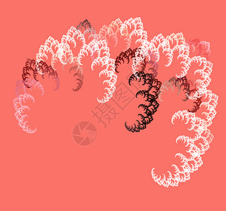 酒红节抽象的现代混乱分形植物在背景色粉红珊瑚上形成白和酒红调分形抽象植物在背景色粉红珊瑚上形成白和酒红调插画