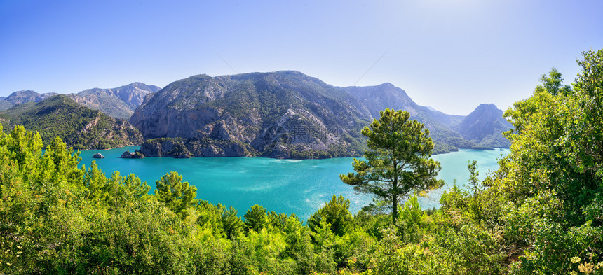 松树被木环绕的绿色峡谷全景土耳其夏季观被树木环绕的绿色峡谷全景旅行夏天图片