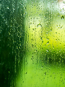 自然下着绿叶和树底的玻璃雨下水滴落在玻璃上露透明图片