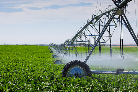 一种个灌溉支流浇一个田地的萝卜浇水机械图片