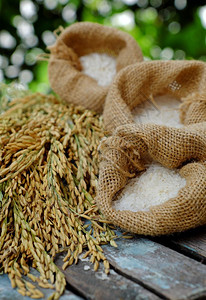 茉莉花紧贴绿底的稻田谷物和种黄粮一篮子谷物中的大米越南语白饭图片