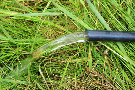 流动管子水从流到绿草从管流到炎热的夏日青草浇灌绿湿图片