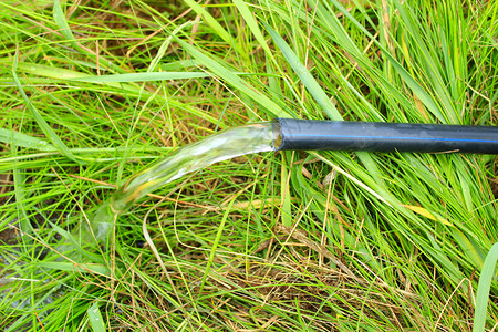 户外降低院子水从管流到绿草从管流到炎热的夏日青草浇灌绿图片