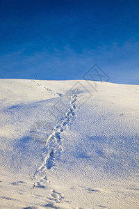 独自的新鲜季节雪上人们痕迹类参与后自然特征的细节人类参与后自然特痕迹图片