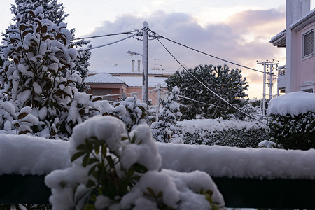 白色的外部一月冬季院有雪树雅典希腊冬季院图片