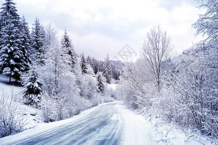 树冰在雪林中漫游山丘之间的雪林中风路雾凇图片