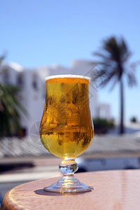 冷啤酒有反光棕榈和蓝天空派对海滩酒吧图片