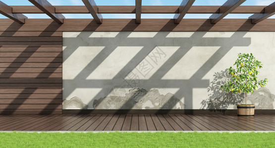 季节园艺无家具的庭花园带有旧墙木板和pergola的家用花园3D图片