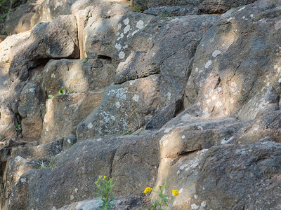 结石植物长满白苔花的岩石景观图片