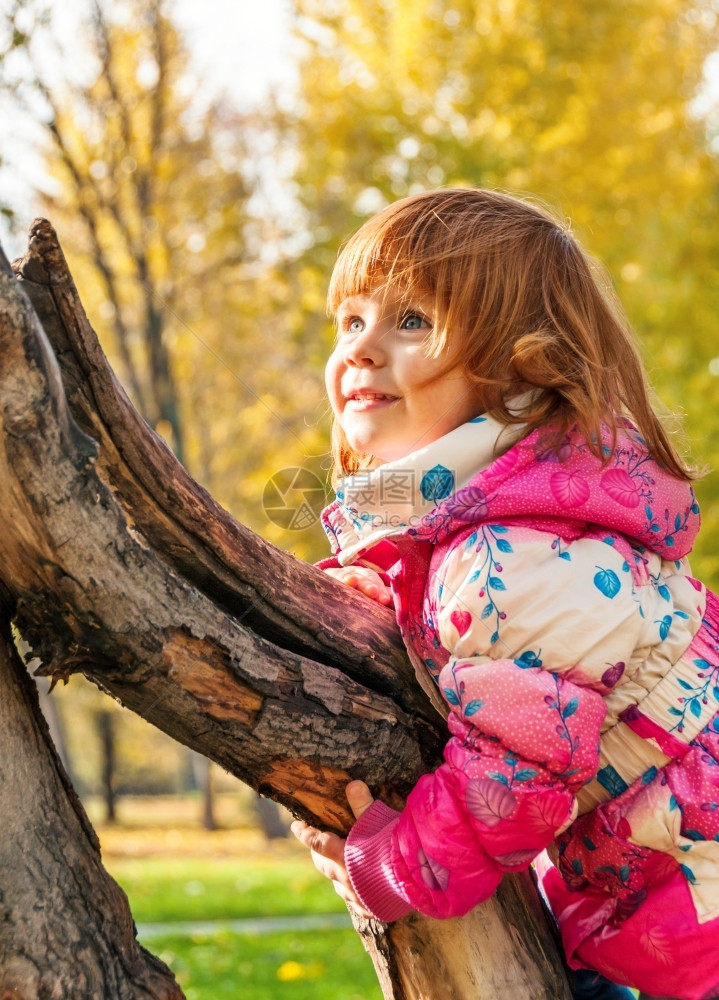 女孩快乐的子在公园里玩耍树上攀爬的公园秋天自然图片