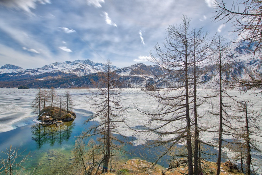 春天森林在恩加丁河谷的Thaw与在瑞士阿尔卑斯山湖中的小岛莫里茨图片