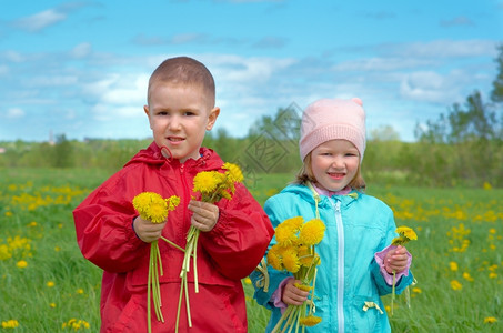 美丽的男孩和小女在蒲公英的草地上场景绿色图片