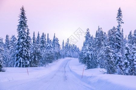 下雪的穿过北部森林冬季公路经过北部森林的雪覆盖温冬路红地标志穿越北部森林的冬季公路边缘地带乡村的打标背景图片