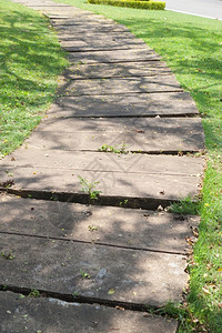 在公园里散步的方式在公园里散步的草地上散步夏天曲线走图片