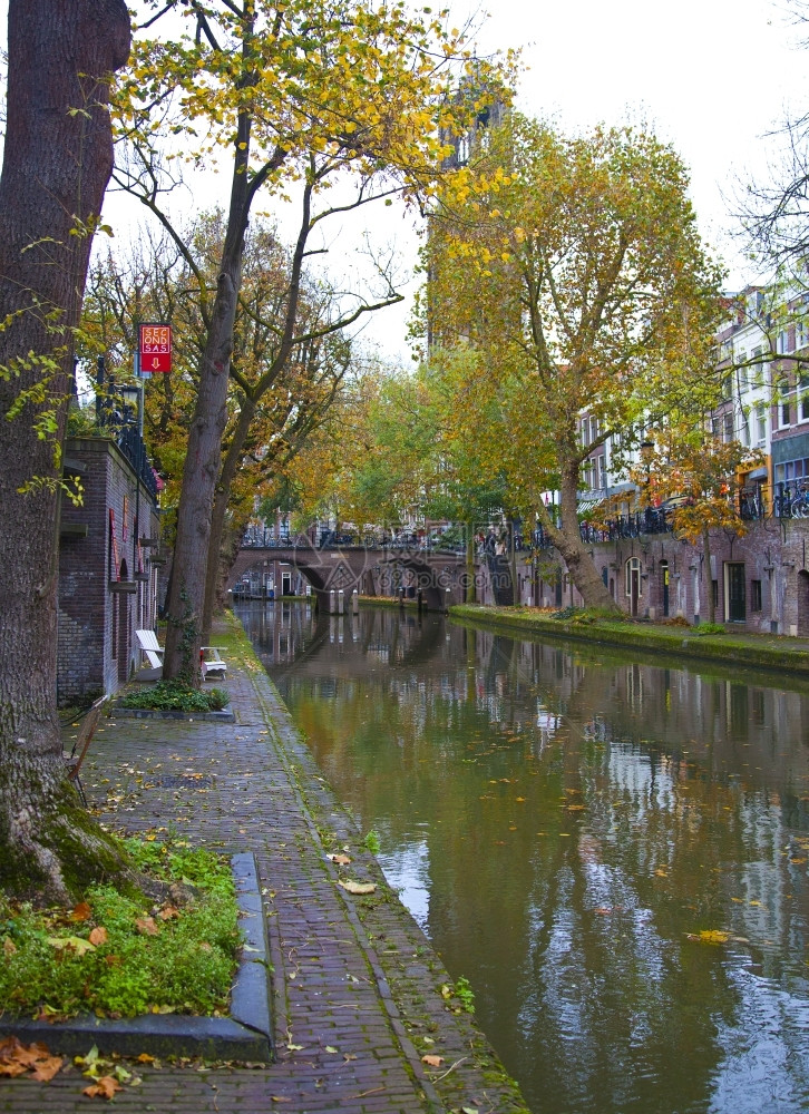 荷兰乌得勒支运河的浏览情况渠道城市景观树图片