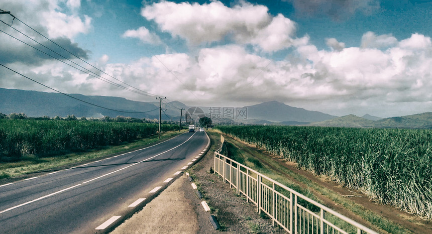 手杖泻湖穿越甘蔗的美丽道路空中景象天图片