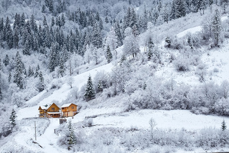 多雾路段树景观冬季山坡上有房子的雪林山坡上有房子的雪林背景图片