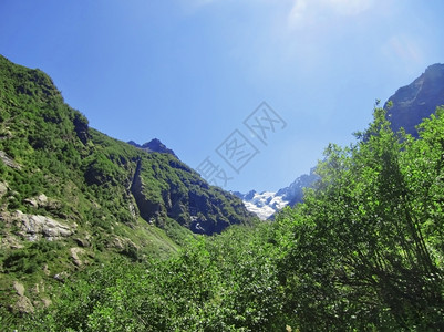 顶峰在下面高加索山脉和明蓝天空下森林的清蓝天空季节图片