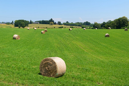户外包裹稻草在利穆赞的法国风景与卷干草捆图片