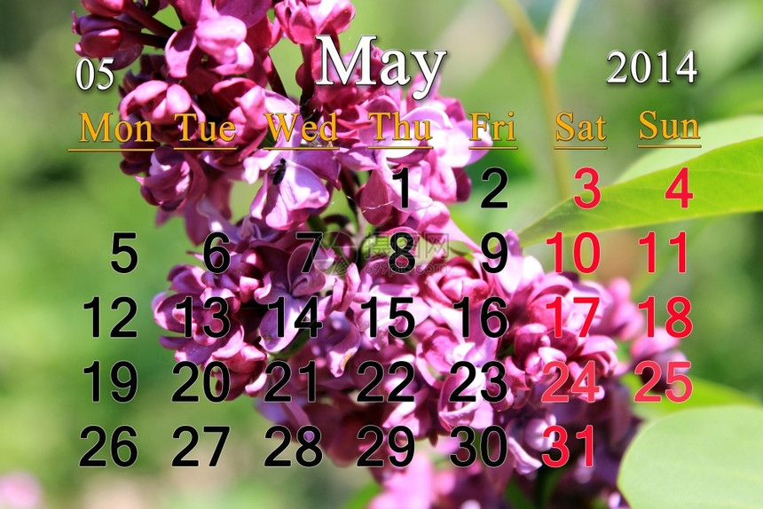 组织者花束2014年5月日历中lilac分支的背景美丽图片