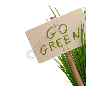 在木板和绿色植物上传递信息图像在白色背景中被孤立单词复制竹子图片
