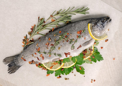 食物卡路里美新鲜的鳟鱼柠檬和香料在羊皮纸上图片