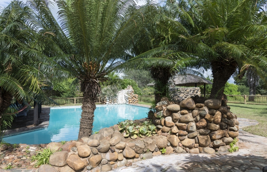 旅游非洲南部内地有棕榈树的热带游泳池奢华小屋图片