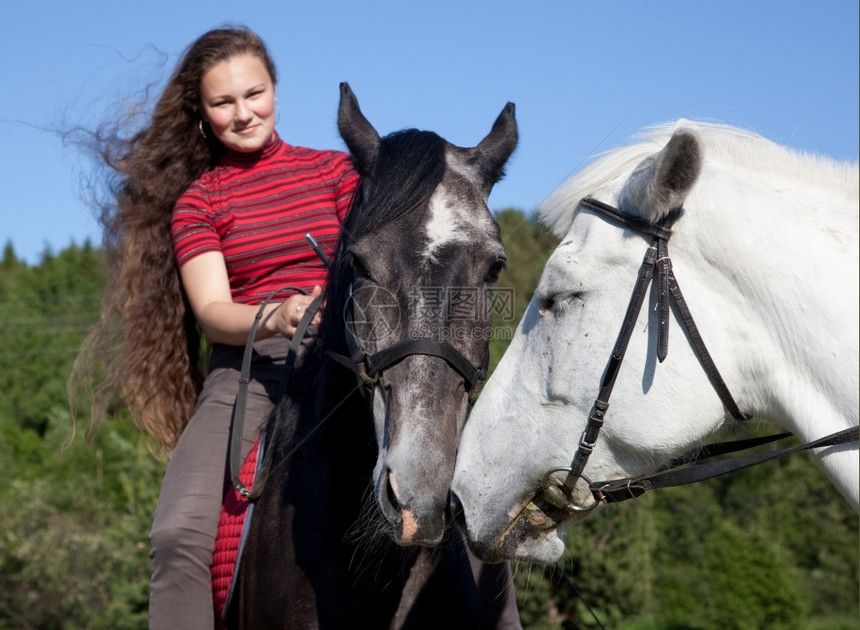 一个夏天在树林里骑着两匹马的女孩乡村一种场景图片