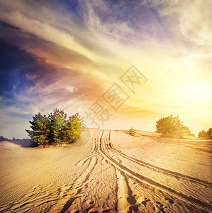 云暴风雪下沙漠滩的热路气候日落图片