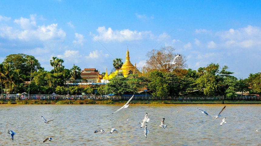 著名的缅甸仰光Shwedagon塔寺庙帕亚图片