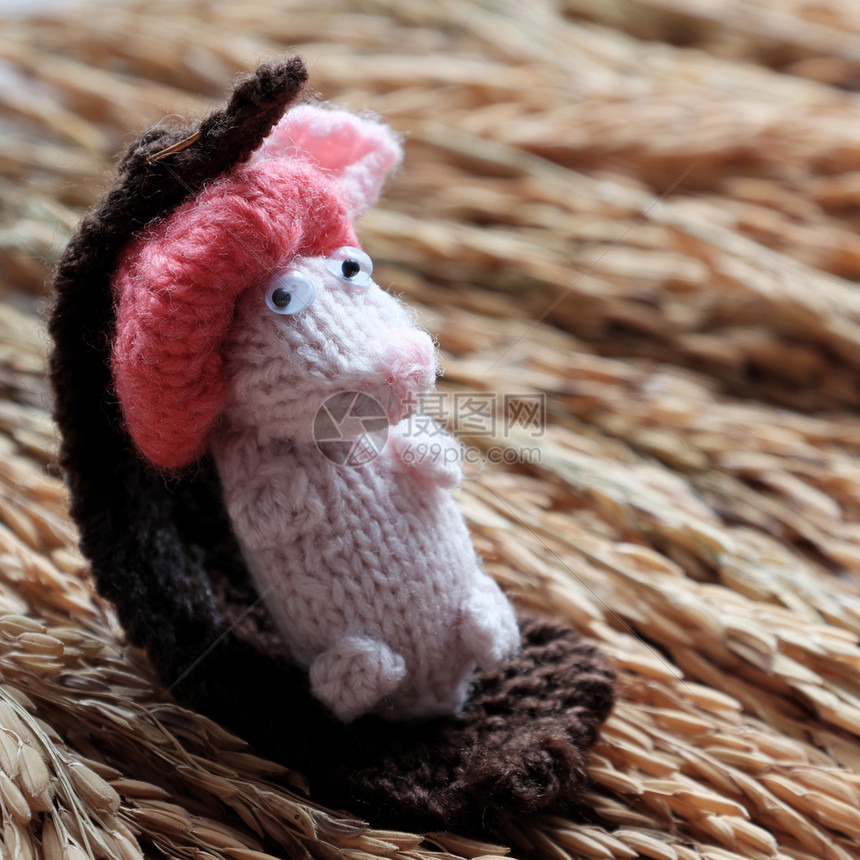 小可爱的老鼠躺下来放松在稻田背景的草地上手工制作的产品羊毛从闲暇时间缝织的小老鼠编灰色的针帽子图片