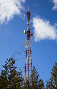 松树金属蓝天背景下森林中的电视传输塔台在蓝天背景下发射机图片