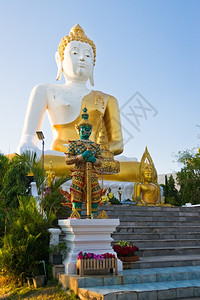 建筑学灵泰国清迈省道顿寺庙大佛像泰国清迈多卡姆图片