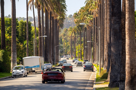 旅行美国加利福尼亚州洛杉矶比佛利山街和棕榈树富有的洛斯图片