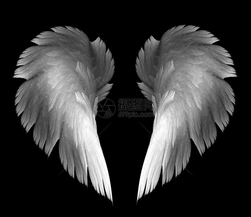柔软的画线条黑底天使翅膀上闪亮的天使翅膀上图片