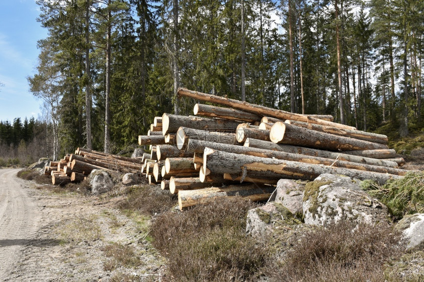 堆叠的景观木柴路边的可持续资源笨重图片