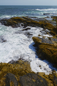 景观大西洋岩石海岸崎岖不绝的大西洋之景美国水图片