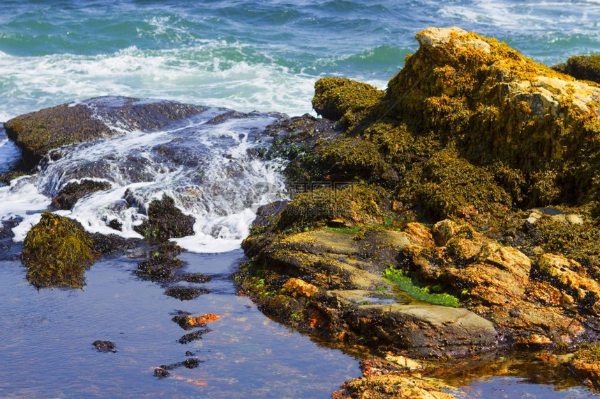 冲浪大西洋岩石海岸崎岖不绝的大西洋之景水池股票图片