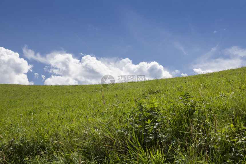 水平的草原大型开放面积和晴空天照片一种图片