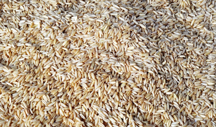 饮食农业种子关闭小麦谷物图片