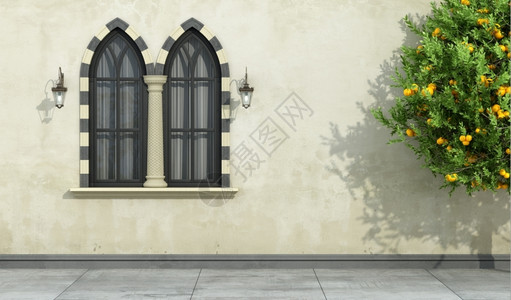 历史柱子传统的古老外墙上面有混为一团的哥特式玻璃窗面上有混为一团的哥特式黑玻璃面上有石架和3D柱背景图片