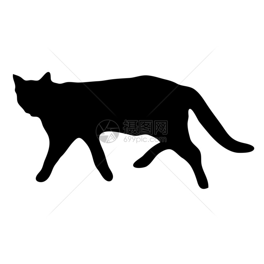 一只行走猫矢量插图的黑色光影信念伟大的家图片